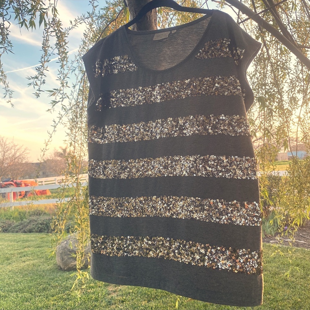 Anthro Dantelle Grey rose gold sequin t-shirt